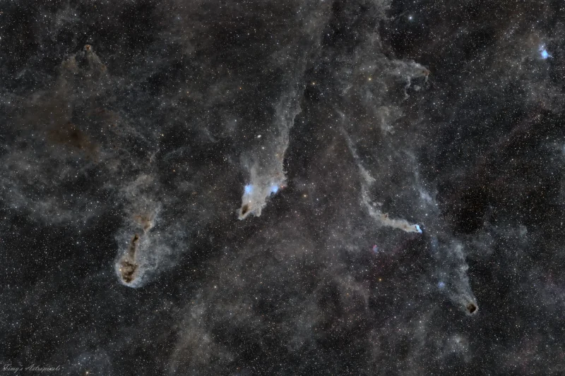 The Dark Shark 18sep2025